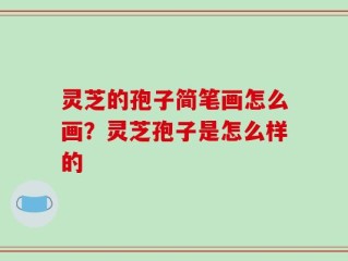 灵芝的孢子简笔画怎么画？灵芝孢子是怎么样的