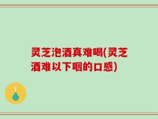 灵芝泡酒真难喝(灵芝酒难以下咽的口感)