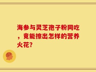 海参与灵芝孢子粉同吃，竟能擦出怎样的营养火花？