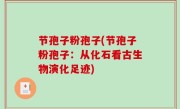 节孢子粉孢子(节孢子粉孢子：从化石看古生物演化足迹)
