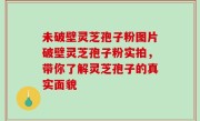 未破壁灵芝孢子粉图片破壁灵芝孢子粉实拍，带你了解灵芝孢子的真实面貌