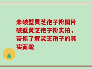 未破壁灵芝孢子粉图片破壁灵芝孢子粉实拍，带你了解灵芝孢子的真实面貌