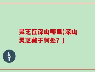 灵芝在深山哪里(深山灵芝藏于何处？)