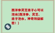 西洋参灵芝连子心可以泡水(西洋参、灵芝、连子泡水，神奇效益解密！)