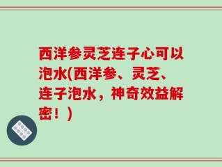 西洋参灵芝连子心可以泡水(西洋参、灵芝、连子泡水，神奇效益解密！)