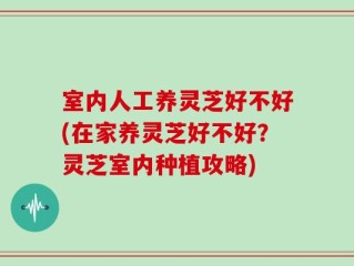 室内人工养灵芝好不好(在家养灵芝好不好？灵芝室内种植攻略)