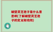 破壁灵芝孢子是什么意思啊(了解破壁灵芝孢子的定义和功效)