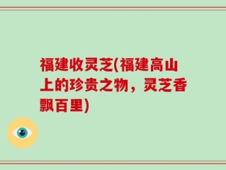 福建收灵芝(福建高山上的珍贵之物，灵芝香飘百里)