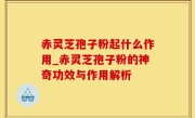 赤灵芝孢子粉起什么作用_赤灵芝孢子粉的神奇功效与作用解析