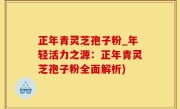 正年青灵芝孢子粉_年轻活力之源：正年青灵芝孢子粉全面解析)