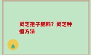 灵芝孢子肥料？灵芝种植方法