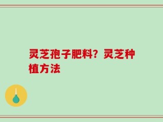 灵芝孢子肥料？灵芝种植方法