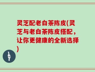 灵芝配老白茶陈皮(灵芝与老白茶陈皮搭配，让你更健康的全新选择)