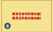 黑灵芝有何药用价值(黑灵芝药用价值详解)
