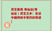 灵芝基地 寿仙谷(寿仙谷丨灵芝之乡：见证中国传统中草药的奇迹)