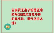云南灵芝孢子粉是正宗的吗(云南灵芝孢子粉的真实性：揭开正宗之谜)
