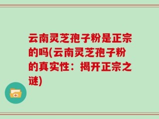 云南灵芝孢子粉是正宗的吗(云南灵芝孢子粉的真实性：揭开正宗之谜)