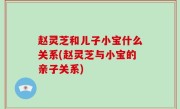 赵灵芝和儿子小宝什么关系(赵灵芝与小宝的亲子关系)