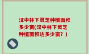 汉中林下灵芝种植面积多少亩(汉中林下灵芝种植面积达多少亩？)