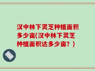 汉中林下灵芝种植面积多少亩(汉中林下灵芝种植面积达多少亩？)