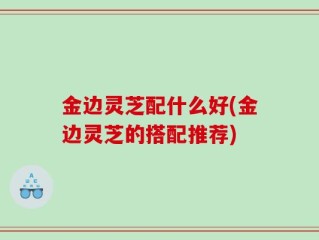 金边灵芝配什么好(金边灵芝的搭配推荐)