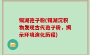 锡湖孢子粉(锡湖沉积物发现古代孢子粉，揭示环境演化历程)