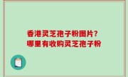 香港灵芝孢子粉图片？哪里有收购灵芝孢子粉