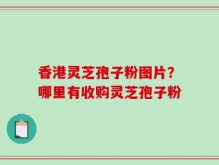 香港灵芝孢子粉图片？哪里有收购灵芝孢子粉