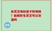 赤灵芝喷射孢子粉视频？新鲜野生灵芝可以泡酒吗