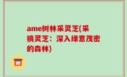 ame树林采灵芝(采摘灵芝：深入绿意茂密的森林)