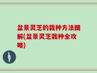 盆景灵芝的栽种方法图解(盆景灵芝栽种全攻略)