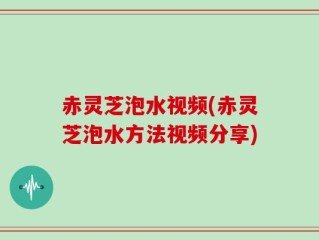 赤灵芝泡水视频(赤灵芝泡水方法视频分享)
