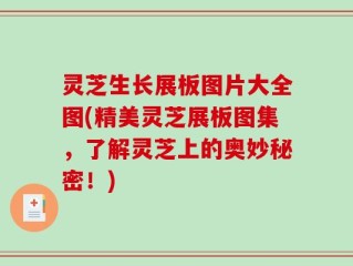 灵芝生长展板图片大全图(精美灵芝展板图集，了解灵芝上的奥妙秘密！)