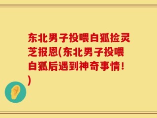 东北男子投喂白狐捡灵芝报恩(东北男子投喂白狐后遇到神奇事情！)