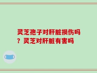 灵芝孢子对肝脏损伤吗？灵芝对肝脏有害吗