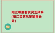 阳江哪里有卖灵芝风筝(阳江灵芝风筝销售去处)