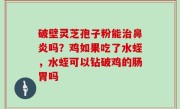 破壁灵芝孢子粉能治鼻炎吗？鸡如果吃了水蛭，水蛭可以钻破鸡的肠胃吗