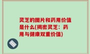 灵芝的图片和药用价值是什么(揭密灵芝：药用与健康双重价值)