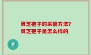 灵芝孢子的采摘方法？灵芝孢子是怎么样的