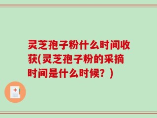 灵芝孢子粉什么时间收获(灵芝孢子粉的采摘时间是什么时候？)