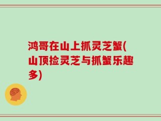 鸿哥在山上抓灵芝蟹(山顶捡灵芝与抓蟹乐趣多)