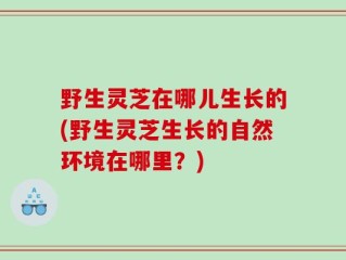 野生灵芝在哪儿生长的(野生灵芝生长的自然环境在哪里？)