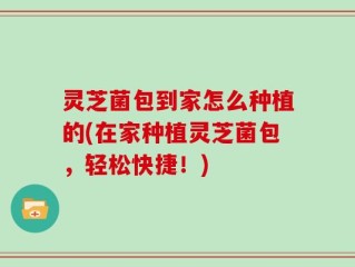 灵芝菌包到家怎么种植的(在家种植灵芝菌包，轻松快捷！)