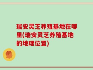 瑞安灵芝养殖基地在哪里(瑞安灵芝养殖基地的地理位置)
