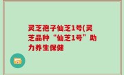 灵芝孢子仙芝1号(灵芝品种“仙芝1号”助力养生保健