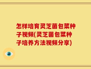 怎样培育灵芝菌包菜种子视频(灵芝菌包菜种子培养方法视频分享)