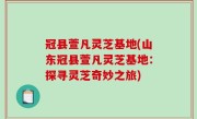 冠县萱凡灵芝基地(山东冠县萱凡灵芝基地：探寻灵芝奇妙之旅)