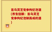 首乌灵芝党参枸杞泡酒(养生佳酿：首乌灵芝党参枸杞泡制而成的酒)