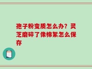 孢子粉变质怎么办？灵芝磨碎了像棉絮怎么保存