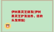 伊树黑灵芝健发(伊树黑灵芝护发滋养，拯救头发烦恼)